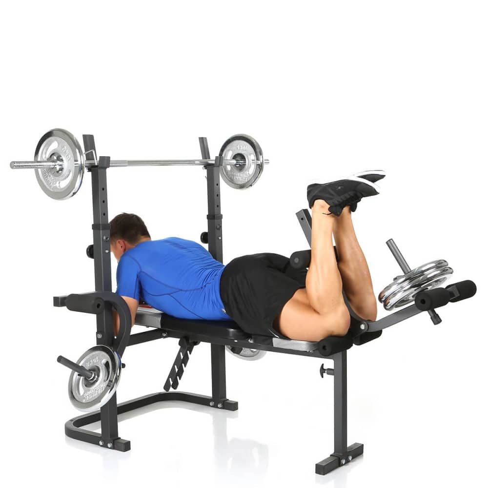 Hykler Udgående kirurg Weight Bench Press Hammer Bermuda XT - Exercise Machine Buy Online -  ifitness