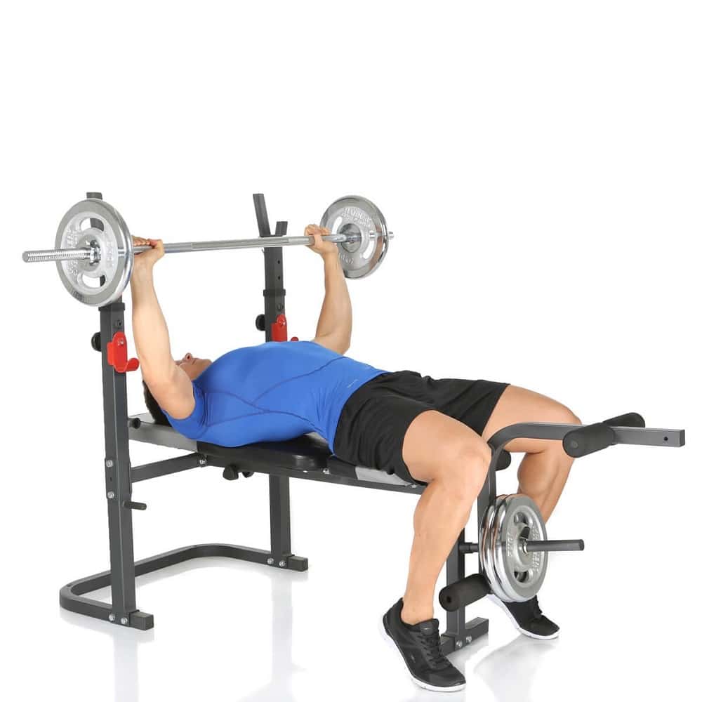 Hykler Udgående kirurg Weight Bench Press Hammer Bermuda XT - Exercise Machine Buy Online -  ifitness